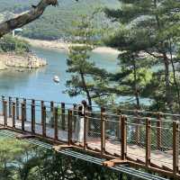 단양 여름여행 모음🌿💚