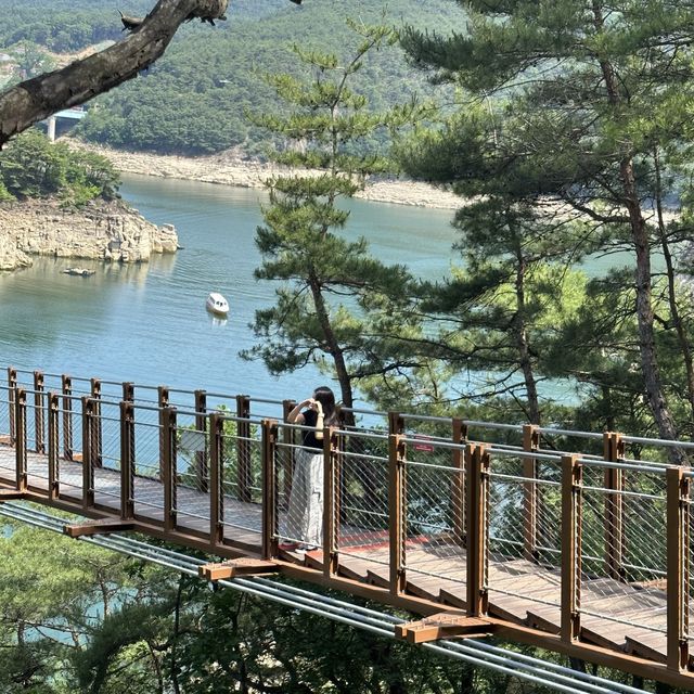 단양 여름여행 모음🌿💚