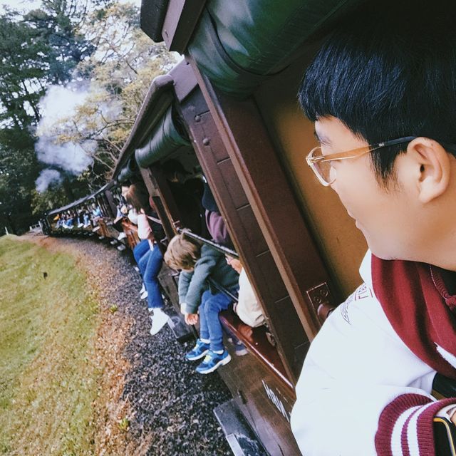 🚂 Choo Choo! All Aboard the Puffing Billy Steam Train! 🌫️