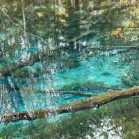 【北海道】摩周湖から生まれた神秘の湖「神の子池」