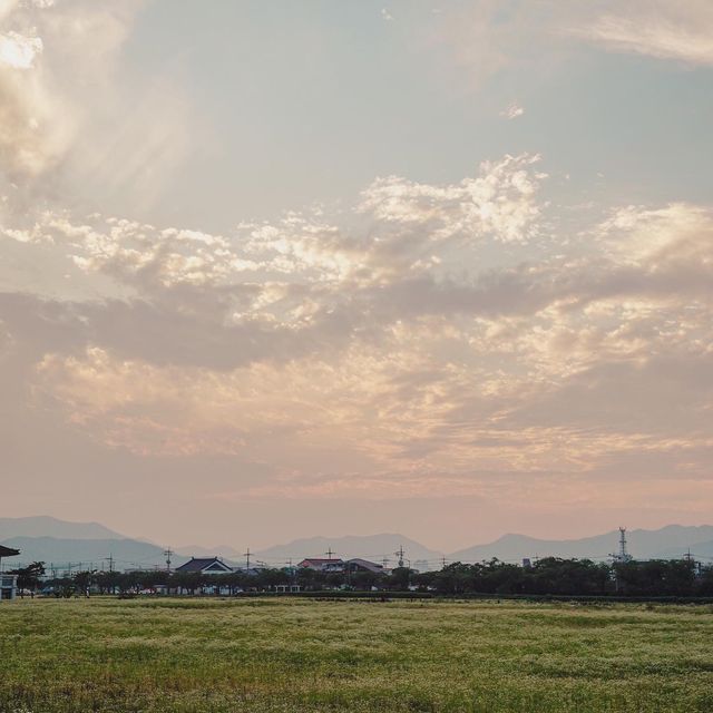 경주 노을명소 분황사