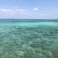 【沖縄 竹富島】一度は行っておきたい竹富島