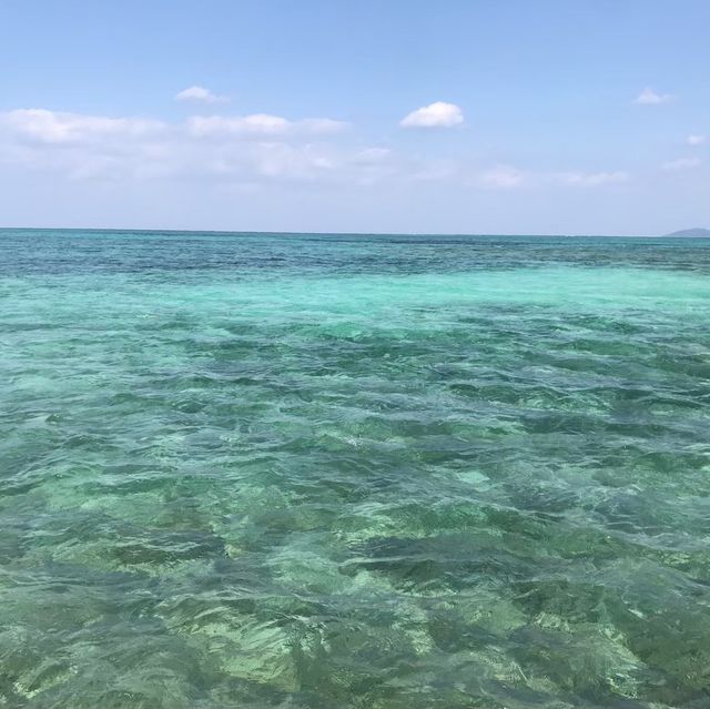 【沖縄 竹富島】一度は行っておきたい竹富島