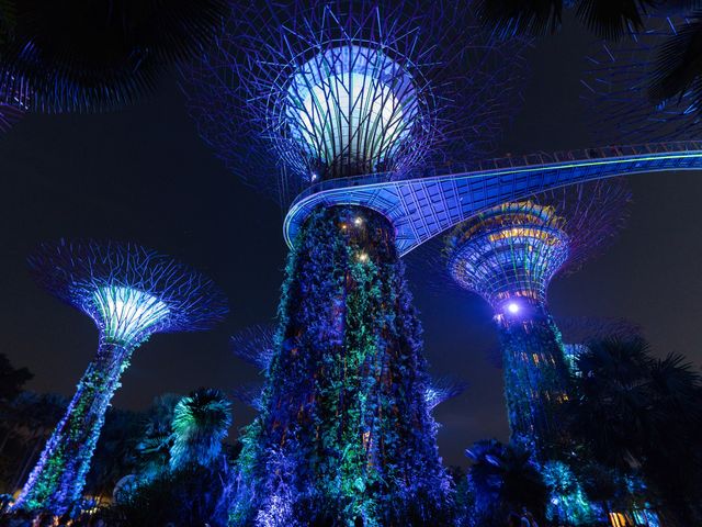 Gardens by The Bay สวนสวรรค์แห่งอนาคต