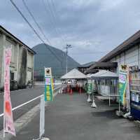 日本香川縣 - JA香川飯南・桃直売所