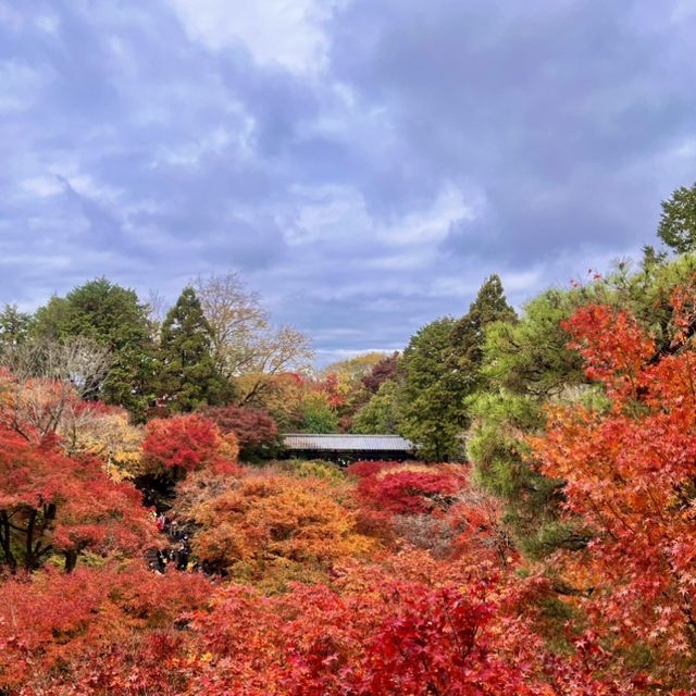 【京都】紅葉の名所🍁東福寺