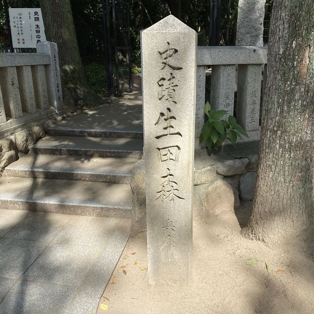 生田神社の生田の森！生田森坐社（いくたのもりにいますやしろ）参拝
