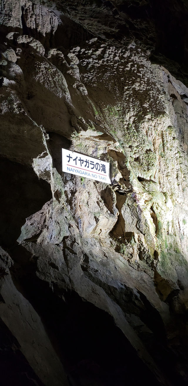 Great Limestones Cave