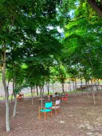 수원에 있는 몽환의 숲 🌳🫧