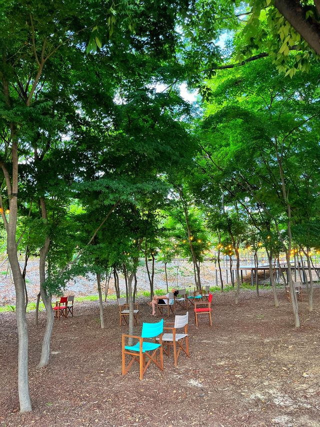 수원에 있는 몽환의 숲 🌳🫧