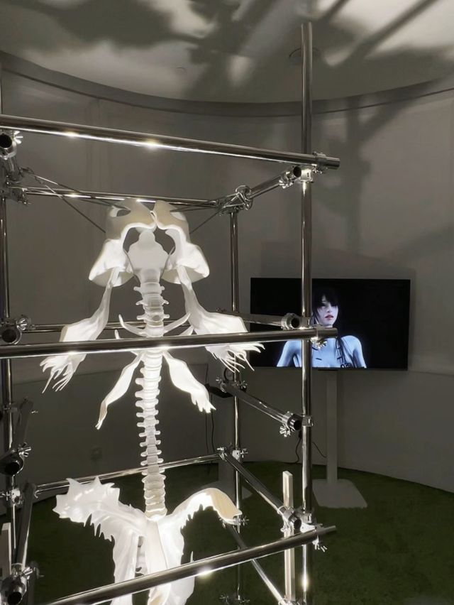 🔎深圳睇展覽-穿越時間的愛麗絲數字藝術大展