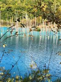 【北海道観光】1度は見てみたい神秘的な青🩵