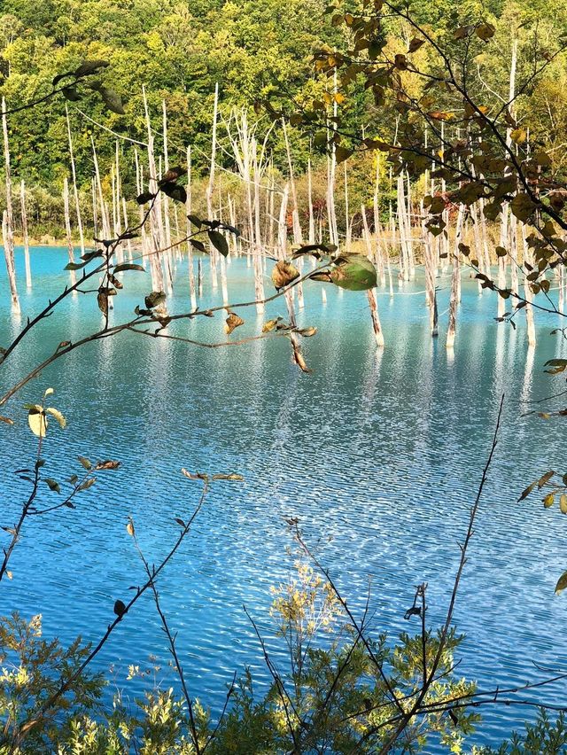 【北海道観光】1度は見てみたい神秘的な青🩵