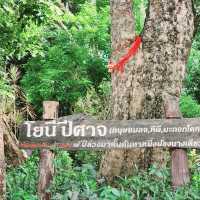 เขากระโดง