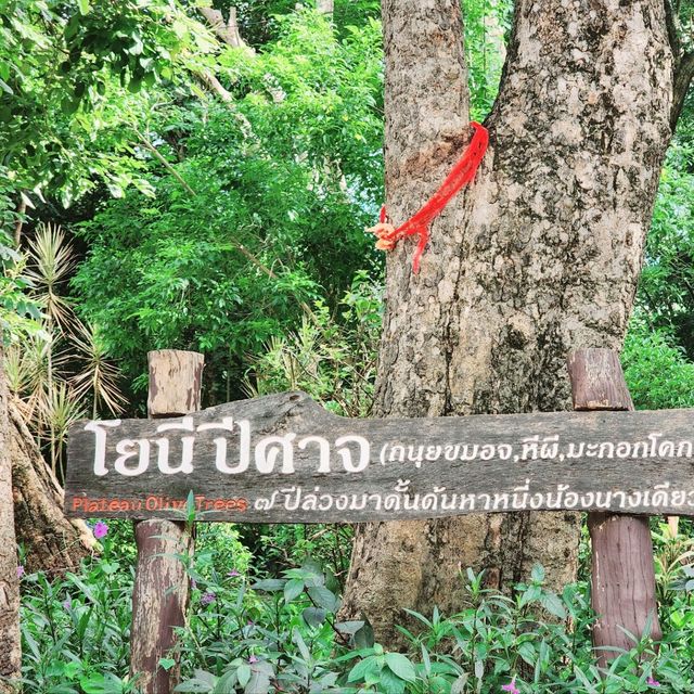 เขากระโดง