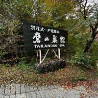 Autumn foliage sightings 