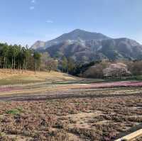 【秩父】羊山公園