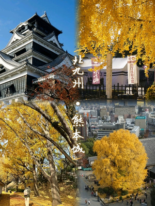 🇯🇵北九州への旅:金色に輝く熊本城🏯✨️