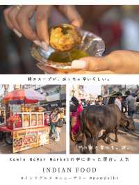 インドグルメまとめ📍INDIA