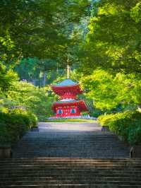 【大阪】ご利益あること間違いなし‼️勝利祈願のダルマだらけの寺院を紹介🔍
