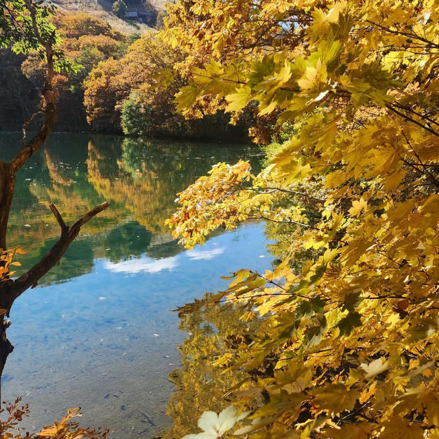 明池國家森林遊樂區 🌲🏞️天然寶庫🌳🌄