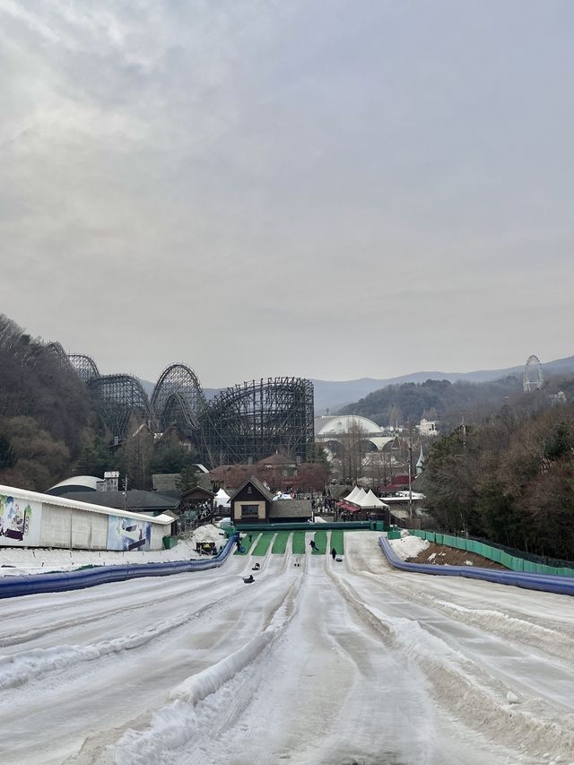 겨울엔 역시 눈썰매!🛷❄️