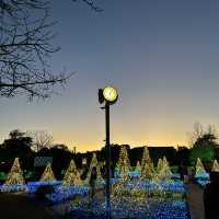 Fairytale Illumination at Nabana