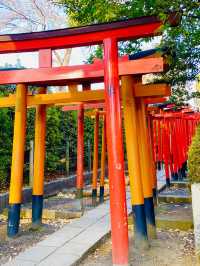 【東京都/根津神社】幅広い方々から人気の神社