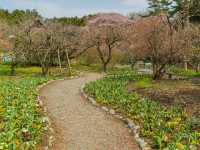 A beautiful park in Gotemba