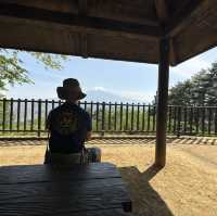 淺間公園眺望富士山