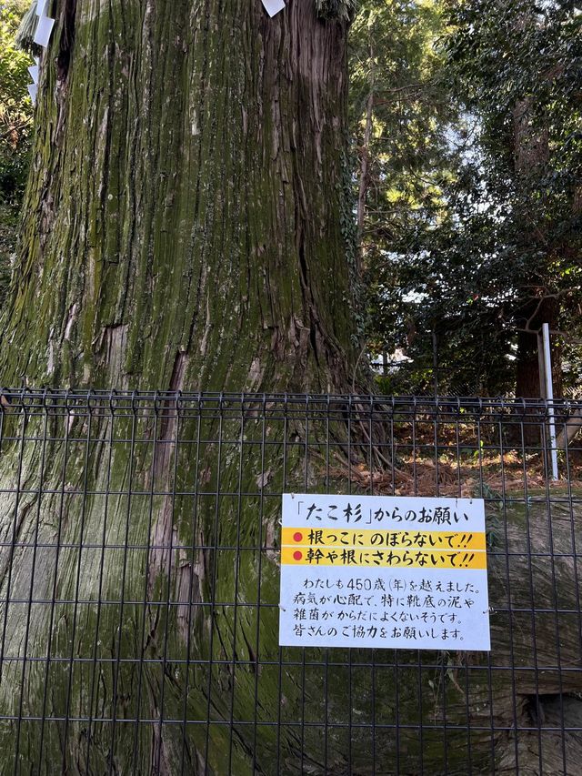 靈氣滿山 高尾山半日遊散策