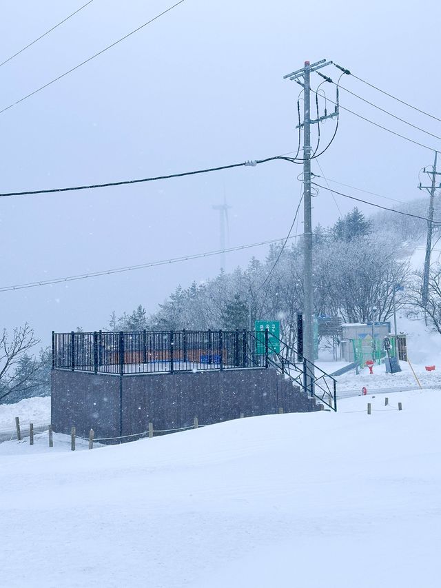 해발 1330m 한국에서 차로 올라갈수 있는 가장 높은 곳🩵
