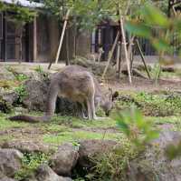 Kanazawa Zoo