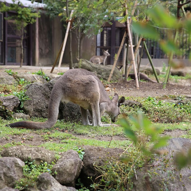 Kanazawa Zoo