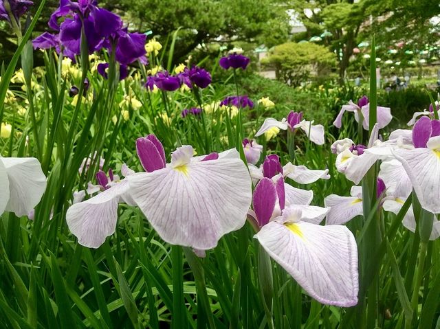 Chiba Park