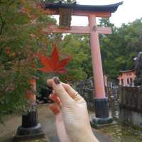 Mysterious Fushimi Inari Taisha