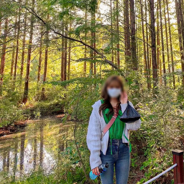 봄의 정취가 물씬 느껴지는 데이트 장소 추천 💖