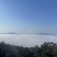 Bana Hill: A Journey Beyond Expectations