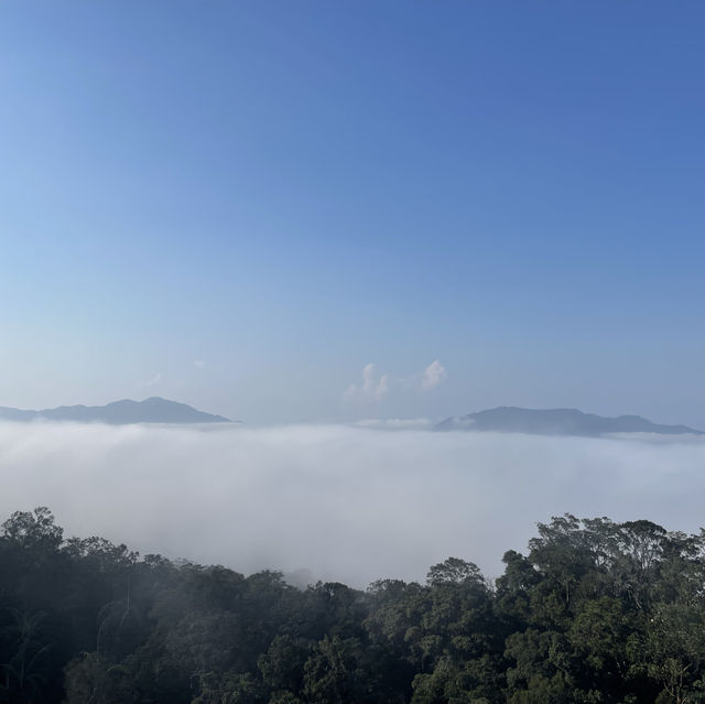 Bana Hill: A Journey Beyond Expectations
