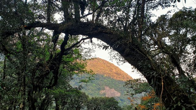 Nam Kang Ho Tao - the most difficult trekking 