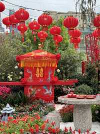 香港也有超美向日葵花海 香港花卉展覽2024