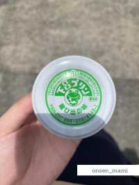 【岐阜 下呂温泉】下呂温泉のお土産におすすめ♨️下呂プリン🍮