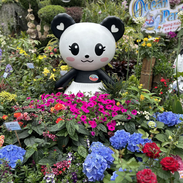 Hong Kong Flower Show  brings joy to town 