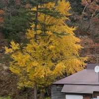 Yamakata