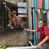 🦍🐒 ไปเที่ยว สวนสัตว์พาต้า 🐇🐖🐹 