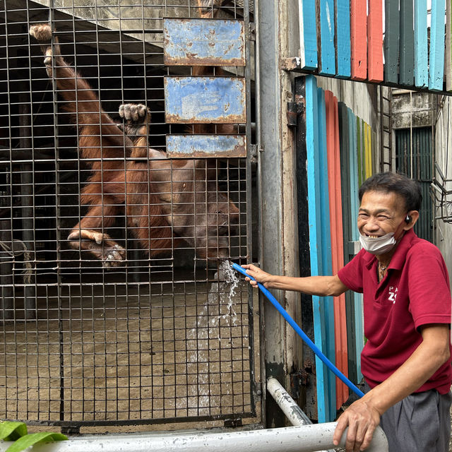 🦍🐒 ไปเที่ยว สวนสัตว์พาต้า 🐇🐖🐹 