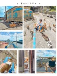 【保存版】にゃんこで溢れる瀬戸内の猫島5選！