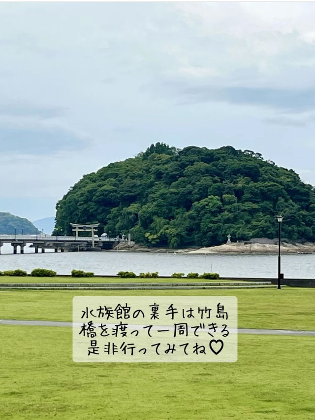 たった900円？！超絶楽しい水族館