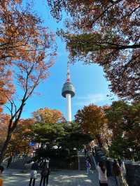 🗼 Tower at Northern Mountain