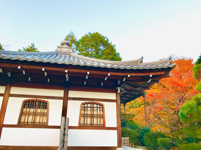 A city dances between past and present🇯🇵❤️